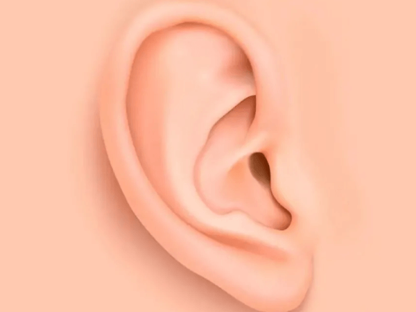 耳部
