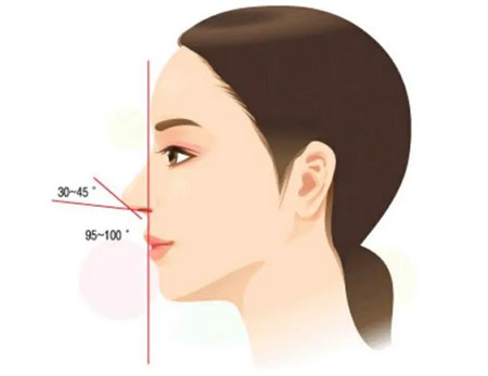 什么因素影响耳软骨垫鼻尖的价格