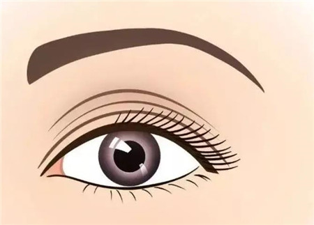 全切双眼皮肉条和肿胀有什么不同?
