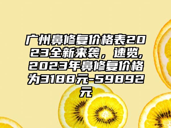 广州鼻修复价格表2023全新来袭，速览,2023年鼻修复价格为3188元-59892元