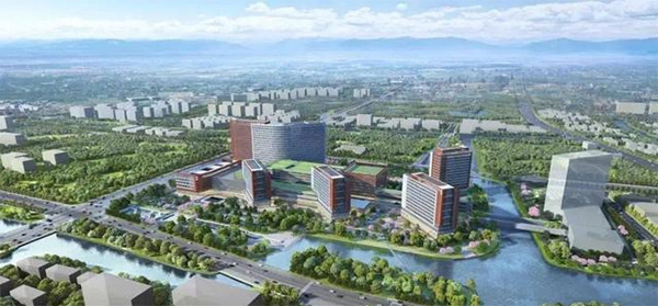 浙医二院整形价目表