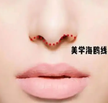 给我海鸥线鼻子示意图片：请问海鸥线面向有福吗和鼻孔外露区别