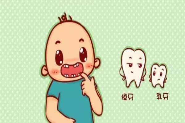 儿童乳牙和恒牙