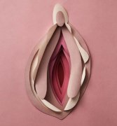 馒头型和蝴蝶型哪个好?小阴唇馒头型和蝴蝶型、一线天哪个更受欢迎