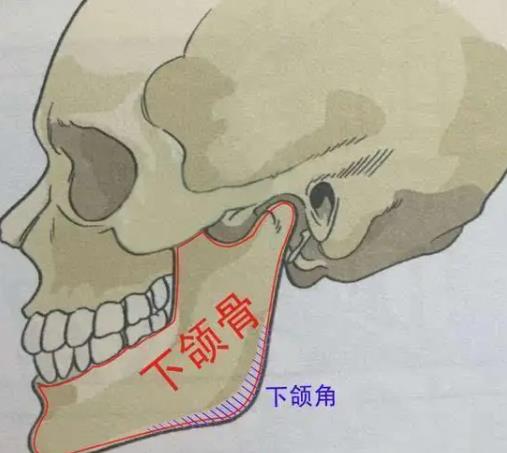 切骨后年纪大了会有什么变化?切骨有什么注意事项?