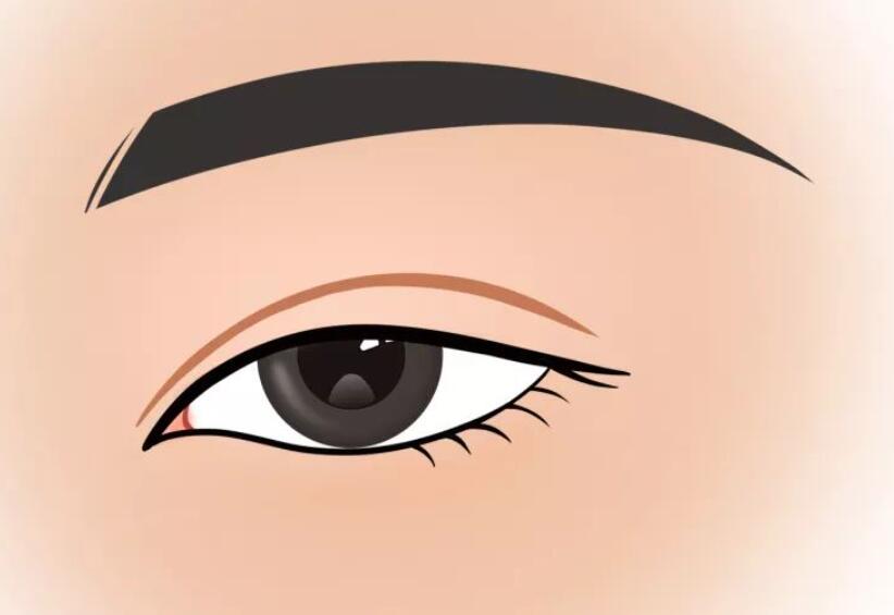 双眼皮动漫06.jpg 双眼皮动漫06.jpg