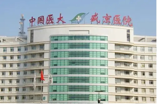 沈阳盛京.jpg 沈阳盛京.jpg