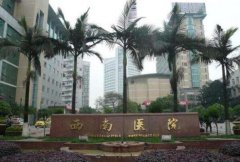 西南医院陈亮双眼皮实例图来袭!医生点评|双眼皮成果图