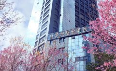 昆明梦想自体脂肪填充价格多少?医生推荐