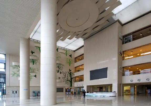 浙江大学医学院附属第四医院整形科价格表公布，【王守界】医生资历、论文在线点评