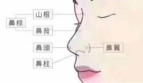 俞翰秀擅长什么整形手术？双眼皮、隆鼻手术通通不在话下！