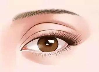 眼眶脂肪填充的存活率如何?副作用有哪些？