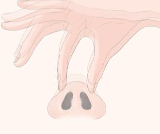 隆鼻动漫45.jpg 隆鼻动漫45.jpg