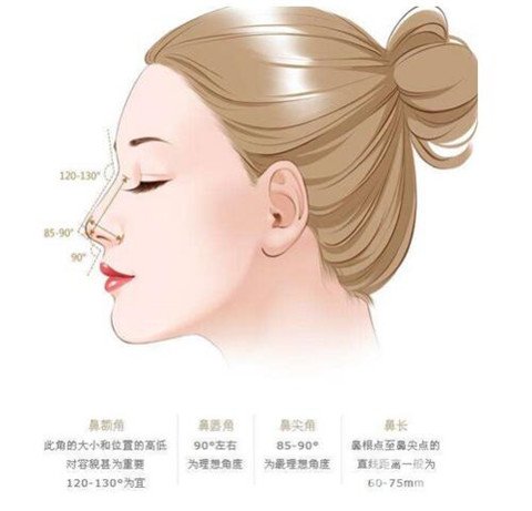 上海耳软骨垫鼻尖多少钱 垫鼻尖的方法