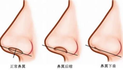 上海交通大学医学院附属仁济医院整形科（南院）