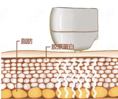 2022解放军总医院整形科第七医学中心