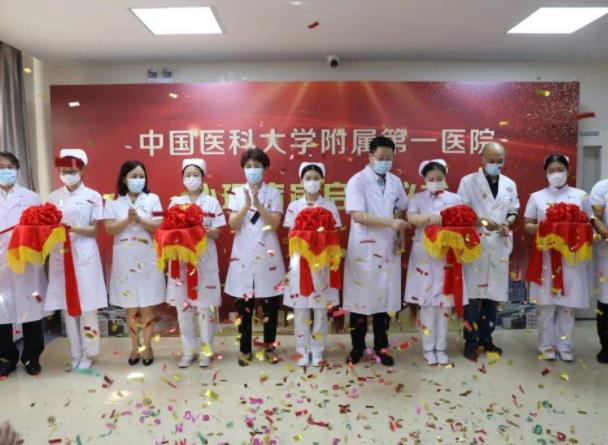 2022年，中国医科大学附属第一医院整形科（价目）