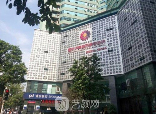 华美和当代哪个医院好？技术、人气、口碑在线PK
