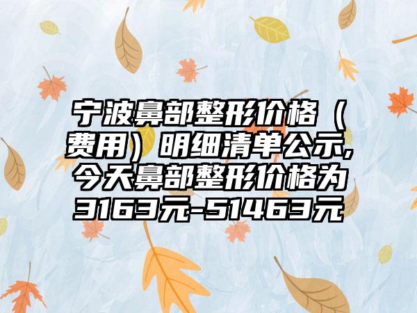宁波鼻部整形价格（费用）明细清单公示,今天鼻部整形价格为3163元-51463元