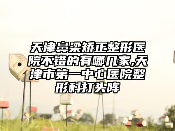 天津鼻梁矫正整形医院不错的有哪几家,天津市第一中心医院整形科打头阵