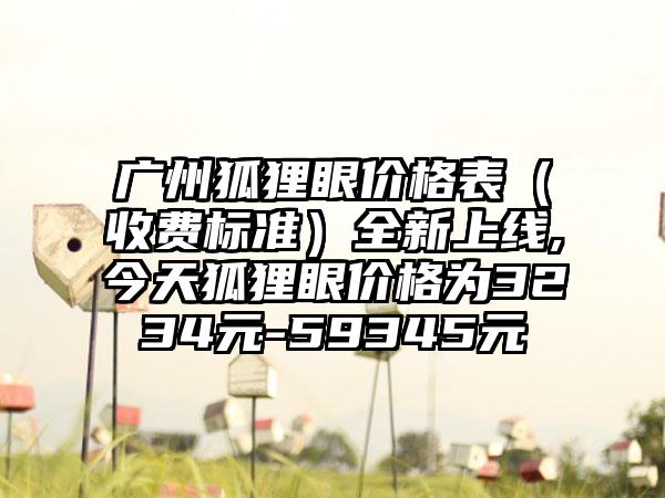广州狐狸眼价格表（收费标准）全新上线,今天狐狸眼价格为3234元-59345元