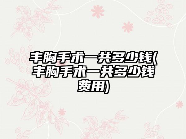 丰胸手术一共多少钱(丰胸手术一共多少钱费用)