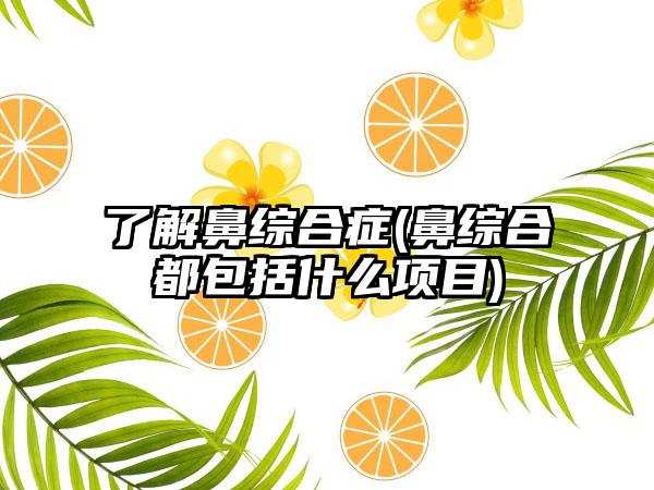 了解鼻综合症(鼻综合都包括什么项目)