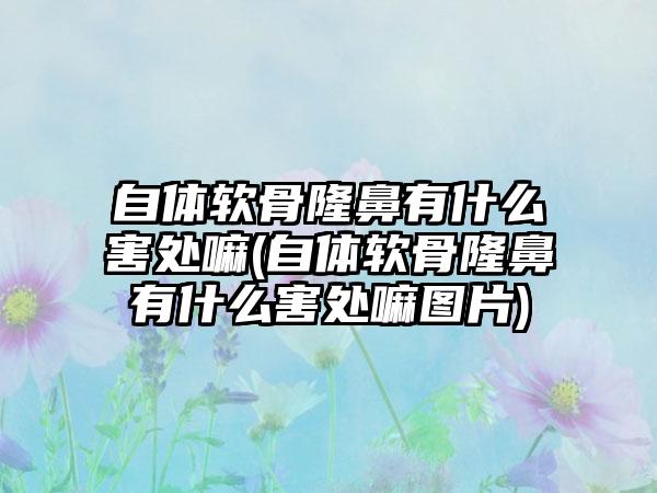 自体软骨隆鼻有什么害处嘛(自体软骨隆鼻有什么害处嘛图片)
