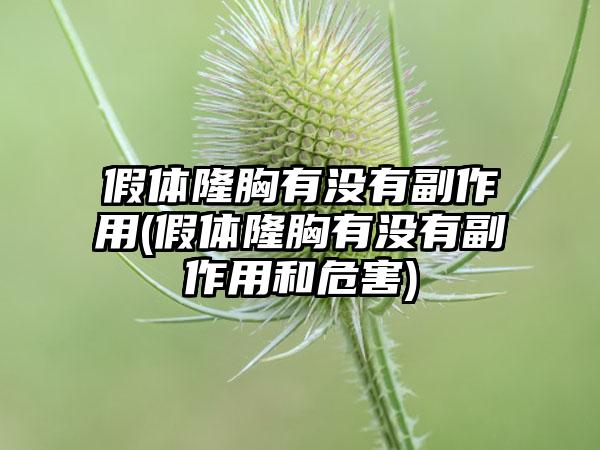 假体隆胸有没有副作用(假体隆胸有没有副作用和危害)