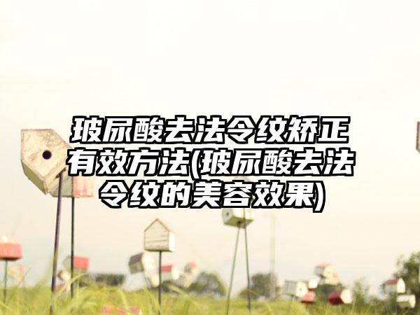 玻尿酸去法令纹矫正有效方法(玻尿酸去法令纹的美容成果)