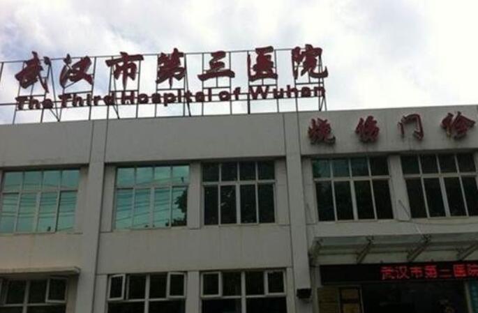 武汉市第三医院.jpg