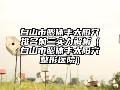 白山市膨体丰太阳穴排名前三实力解析（白山市膨体丰太阳穴整形医院）