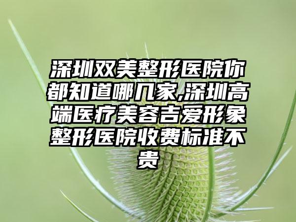 深圳双美整形医院你都知道哪几家,深圳高端医疗美容吉爱形象整形医院收费标准不贵