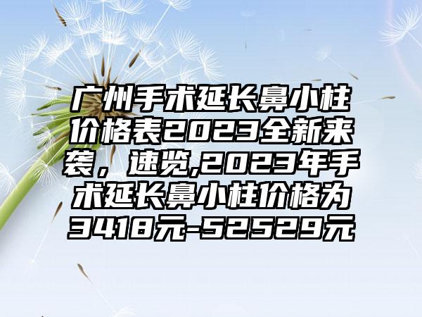 广州手术延长鼻小柱价格表2023全新来袭，速览,2023年手术延长鼻小柱价格为3418元-52529元