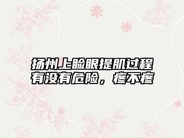 扬州上睑眼提肌过程有没有危险，疼不疼