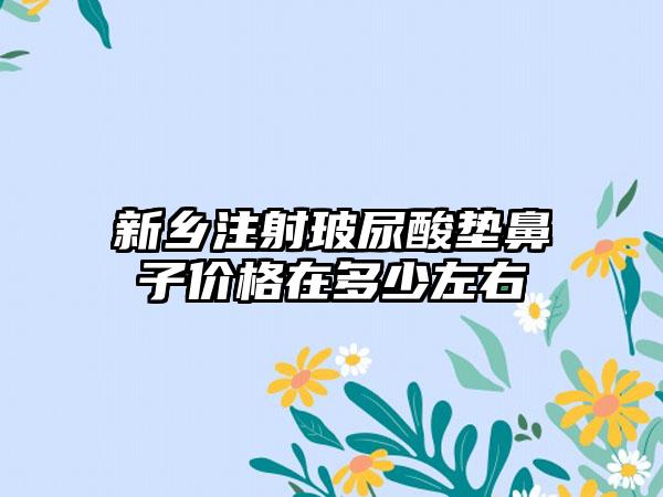 新乡注射玻尿酸垫鼻子价格在多少左右