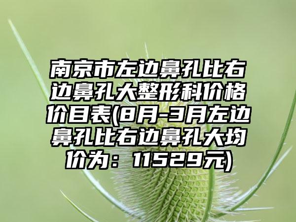 南京市左边鼻孔比右边鼻孔大整形科价格价目表(8月-3月左边鼻孔比右边鼻孔大均价为:11529元)