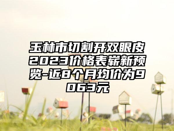 玉林市切割开双眼皮2023价格表崭新预览-近8个月均价为9063元