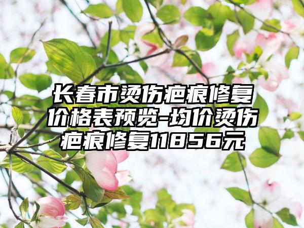 长春市烫伤疤痕修复价格表预览-均价烫伤疤痕修复11856元