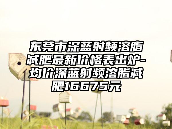 东莞市深蓝射频溶脂减肥非常新价格表出炉-均价深蓝射频溶脂减肥16675元