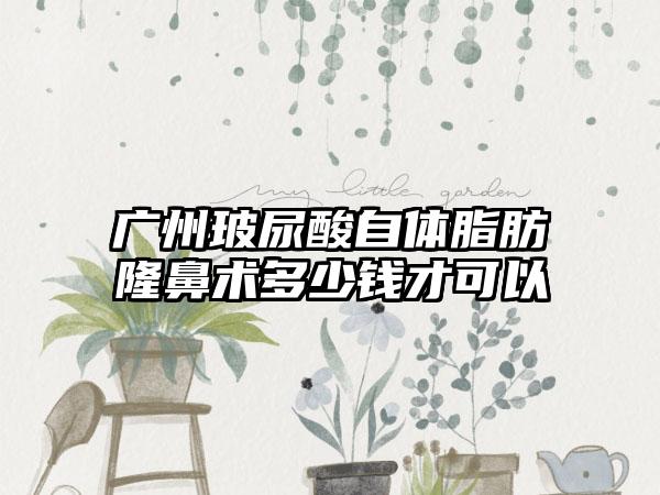 广州玻尿酸自体脂肪隆鼻术多少钱才可以