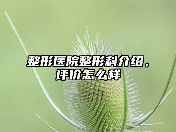 整形医院整形科介绍，评价怎么样