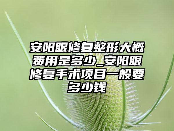 安阳眼修复整形大概费用是多少_安阳眼修复手术项目一般要多少钱
