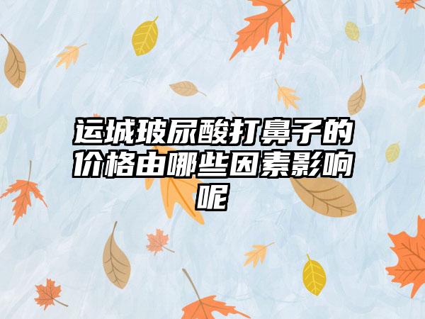 运城玻尿酸打鼻子的价格由哪些因素影响呢