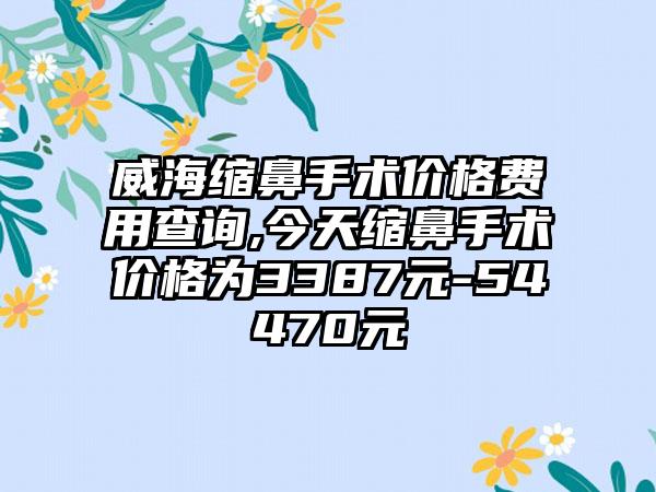 威海缩鼻手术价格费用查询,今天缩鼻手术价格为3387元-54470元