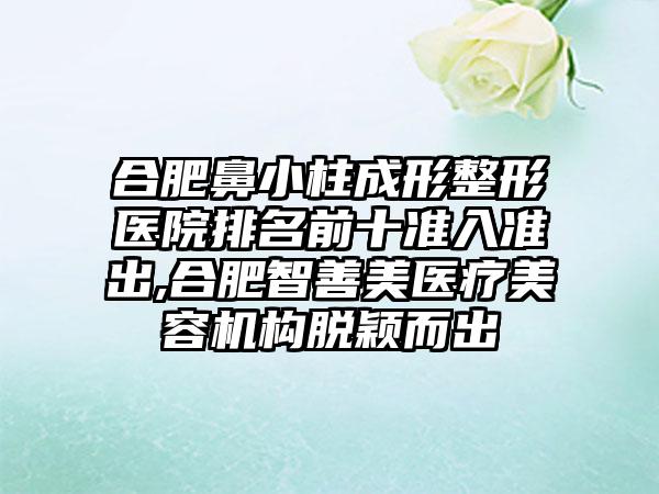 合肥鼻小柱成形整形医院排名前十准入准出,合肥智善美医疗美容机构脱颖而出