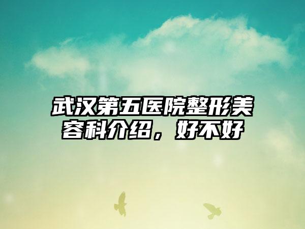 武汉第五医院整形美容科介绍，好不好