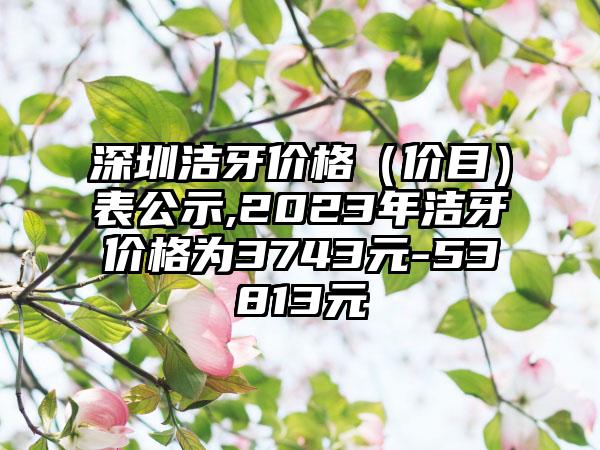 深圳洁牙价格（价目）表公示,2023年洁牙价格为3743元-53813元