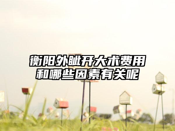 衡阳外眦开大术费用和哪些因素有关呢
