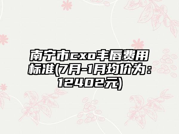 南宁市cxo丰唇费用标准(7月-1月均价为：12402元)